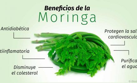 Moringa: usos y beneficios
