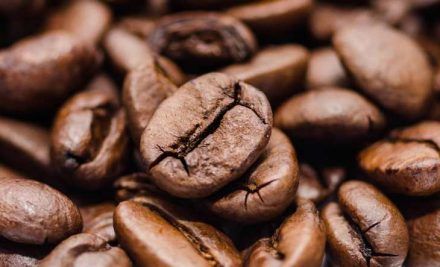 ¿Cómo funciona la CAFEÍNA?