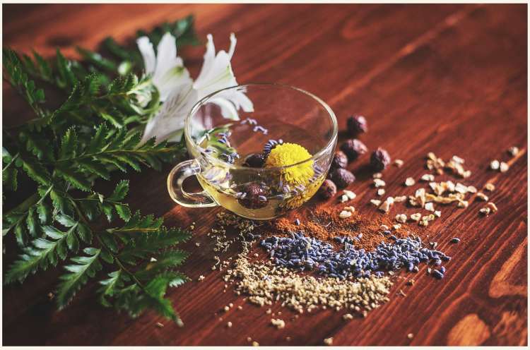 Medicina Ayurvédica y las 5 Hierbas Principales de Ayurveda