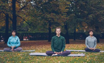 Ayurveda y la mente: el mapa para conocerte, calmarte y elegir