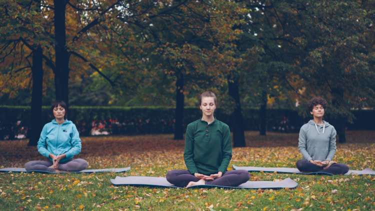 Ayurveda y la mente: el mapa para conocerte, calmarte y elegir