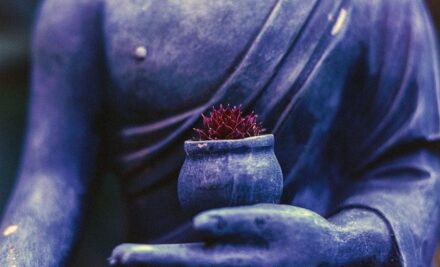 Ayurveda: el arte milenario que revoluciona tu alimentación y bienestar