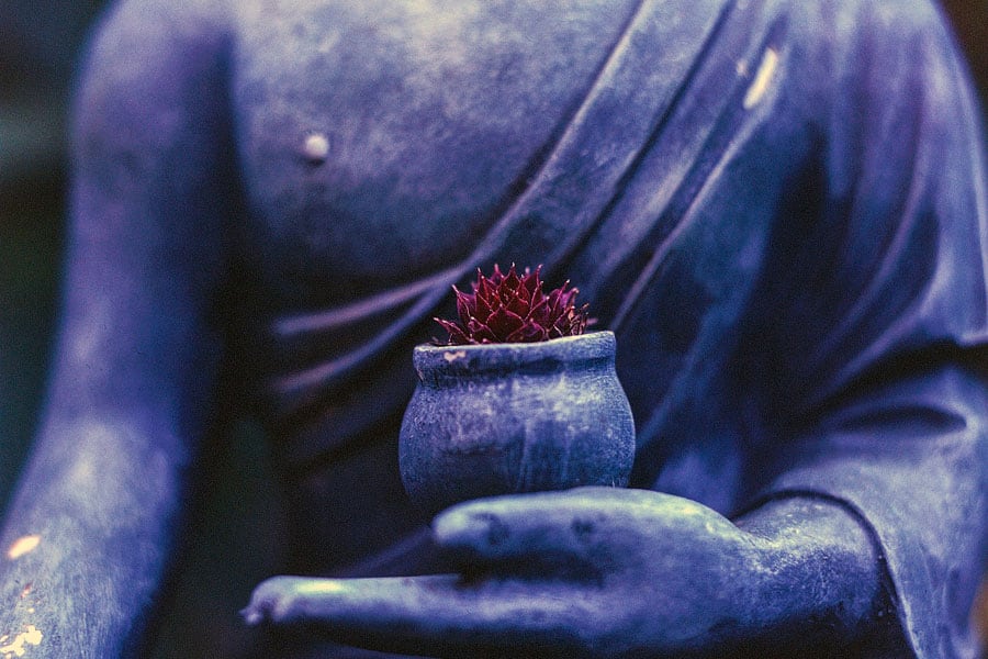 Ayurveda: el arte milenario que revoluciona tu alimentación y bienestar