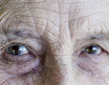 Ojas: la fuerza invisible que protege al cuerpo de enfermedades y envejecimiento