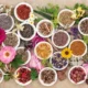 Ayurveda explicado en simple: guía esencial para tu salud y equilibrio