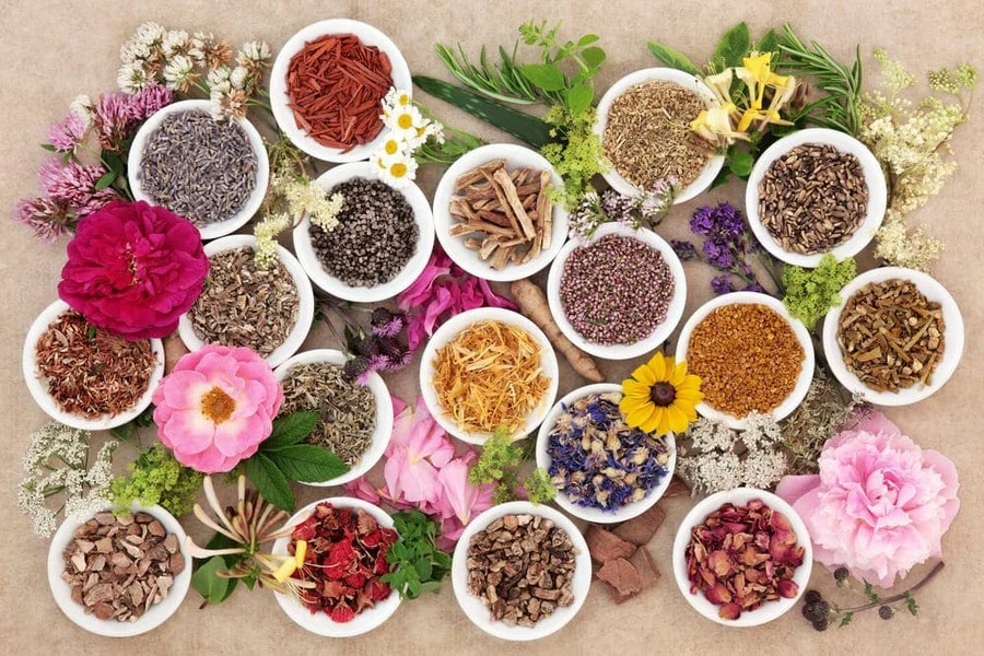 Ayurveda explicado en simple: guía esencial para tu salud y equilibrio