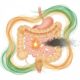 Cómo entender y tratar el síndrome del intestino permeable con Ayurveda