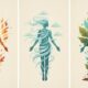 Descubre tu tipo de energía en Ayurveda: alimentación y entrenamiento según Vata, Pitta y Kapha