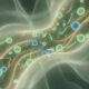 Cómo mejorar la microbiota intestinal de forma natural en 5 pasos
