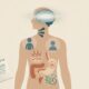 Las 6 fases de la enfermedad según Ayurveda: escucha al cuerpo antes de que grite