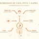 Subdoshas en Ayurveda: qué son, funciones y señales de desequilibrio