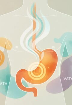 Gastritis y reflujo gastroesofágico: cómo abordarlos desde la medicina ayurvédica
